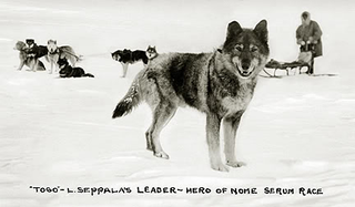 Illustration for article titled AWESOME DOGS ARE AWESOME